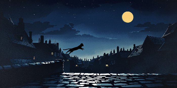 Night Leap