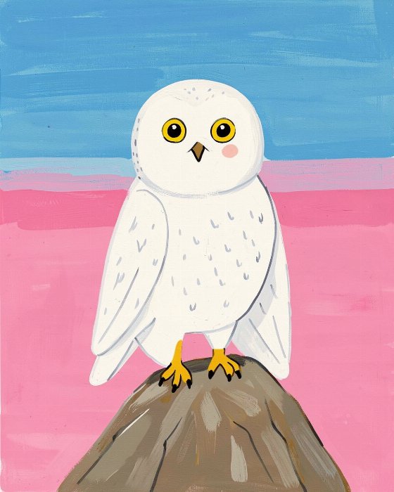 Owl On Rock