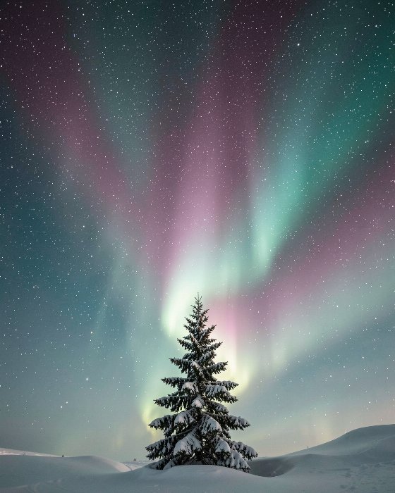 Corona Burst