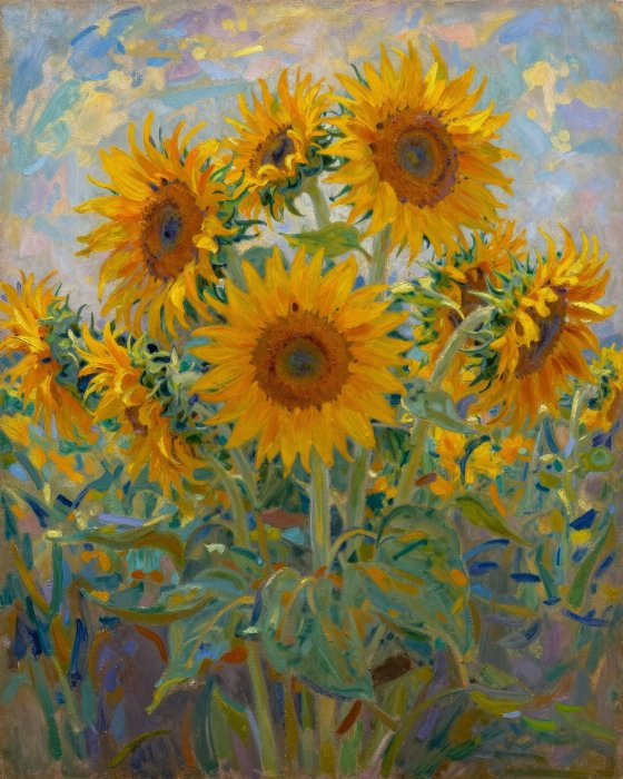 Sunlit Sunflowers