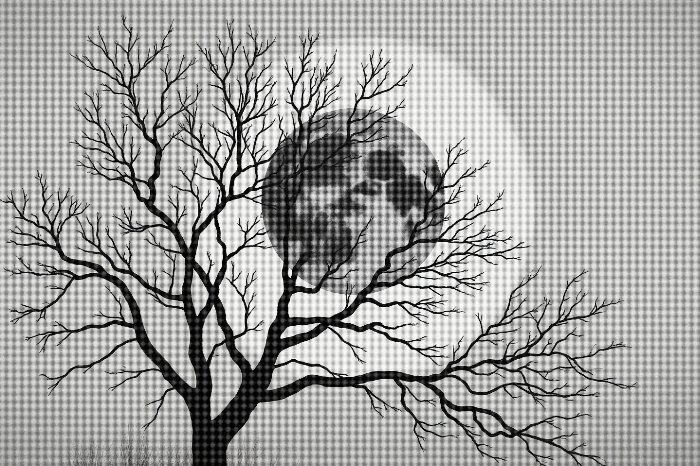 Winter Moon II
