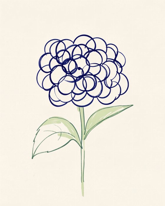Quiet Blossom