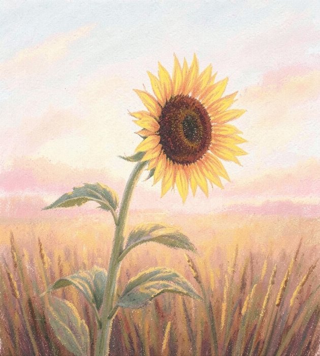 Sunward II