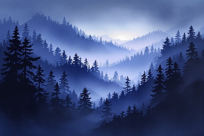 Twilight Redwoods