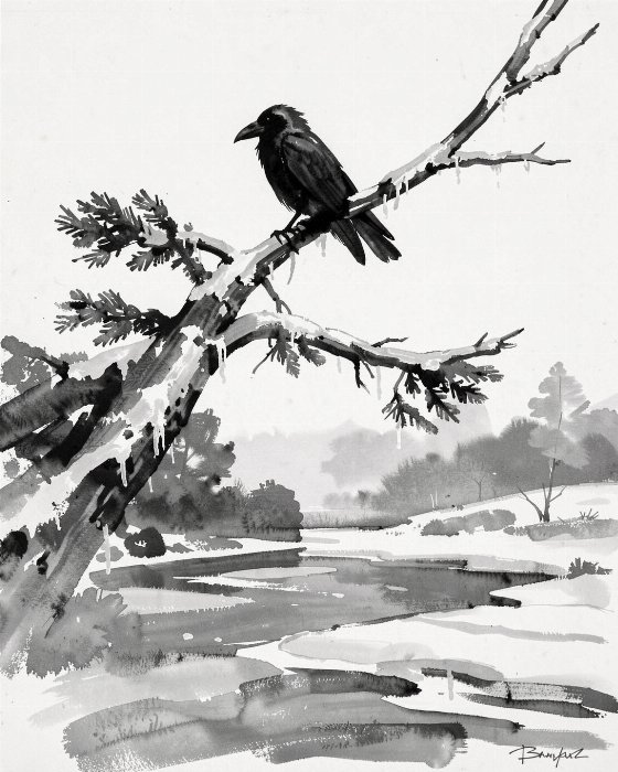 Cold Perch