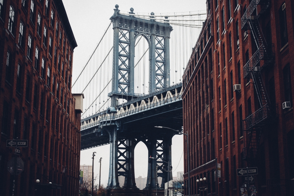 Concrete Jungle