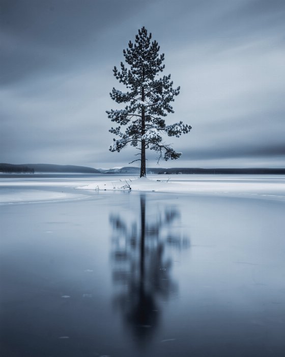 Frozen Still