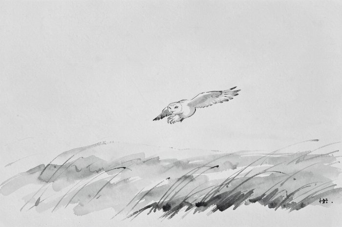 Snowy Flight