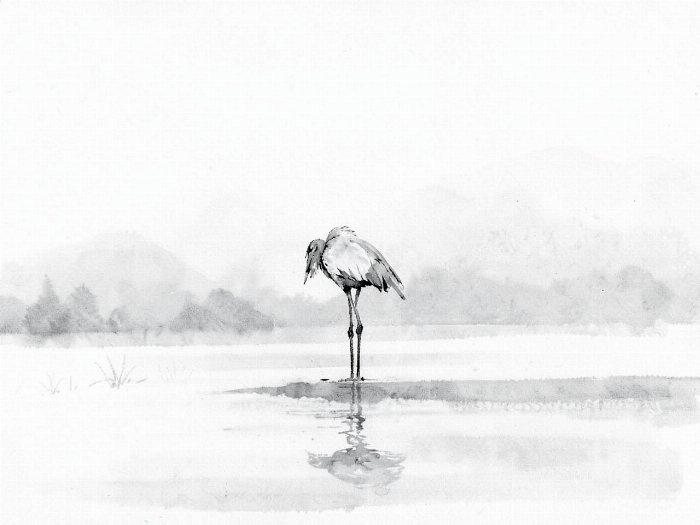 Misty Crane II