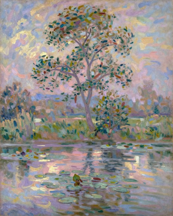Poplar Light