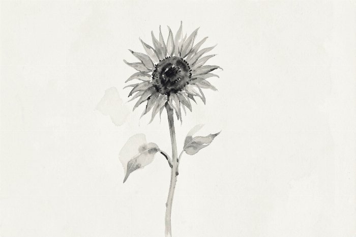 Bowed Bloom