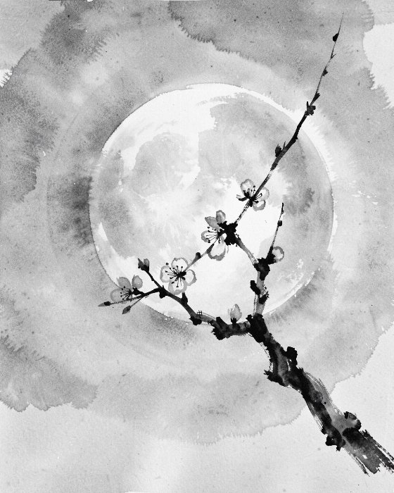 Moon Branch