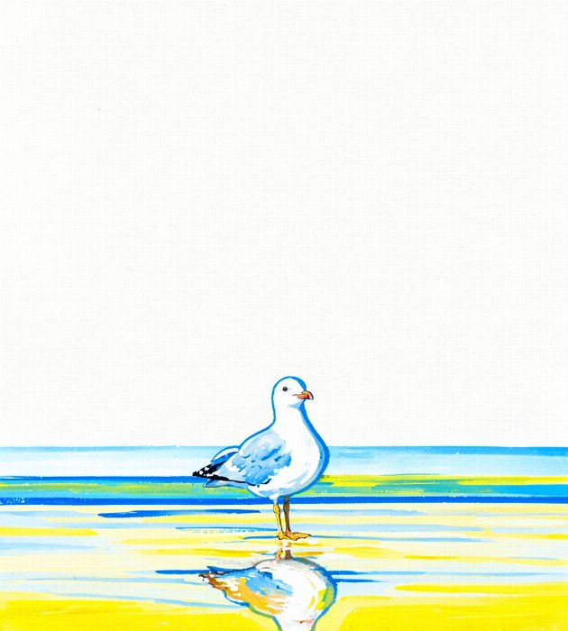 Shore Watch II