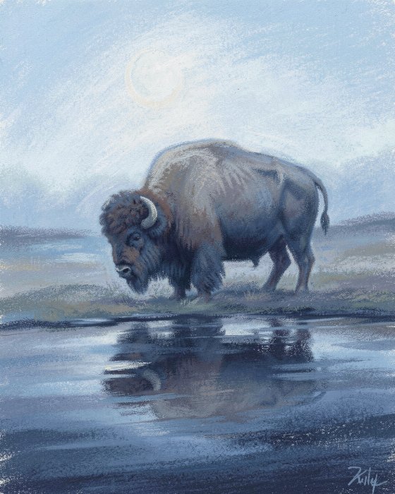Moonlit Bison