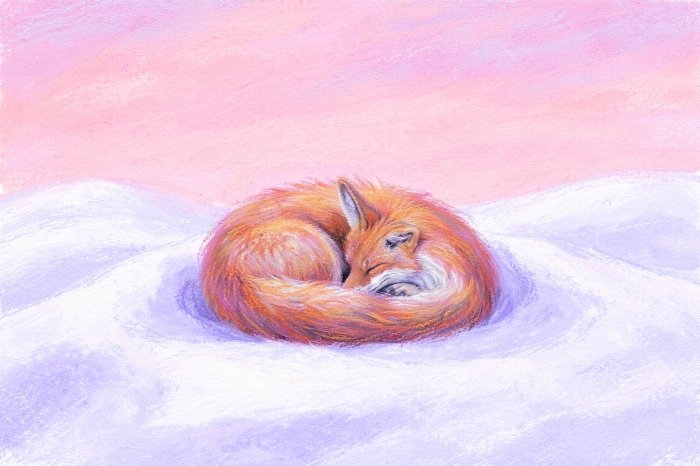 Winter Rest II