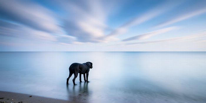 Glass Tide