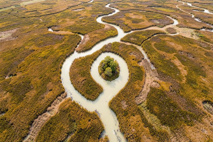 River Veins