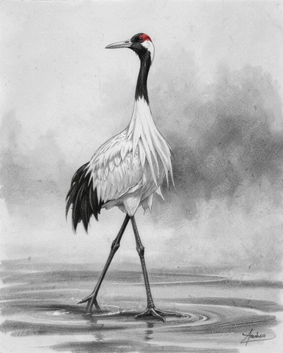 Misted Crane