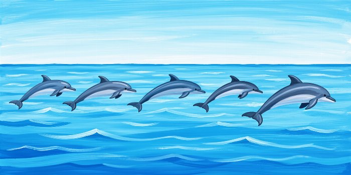 Dolphin Drift