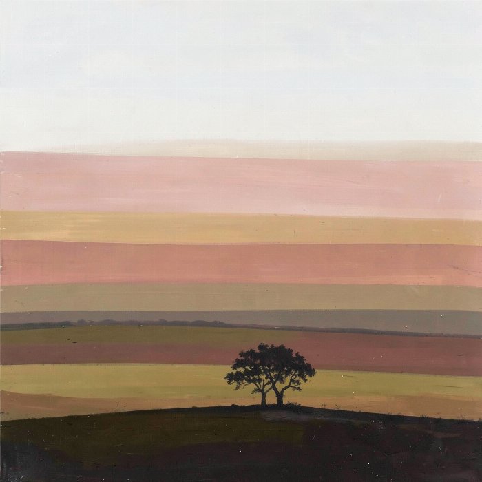 Still Field