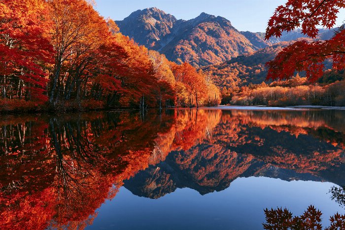 Ember Reflection