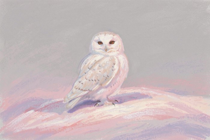 Snowy Perch