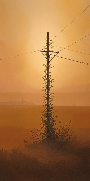 Fen Haze