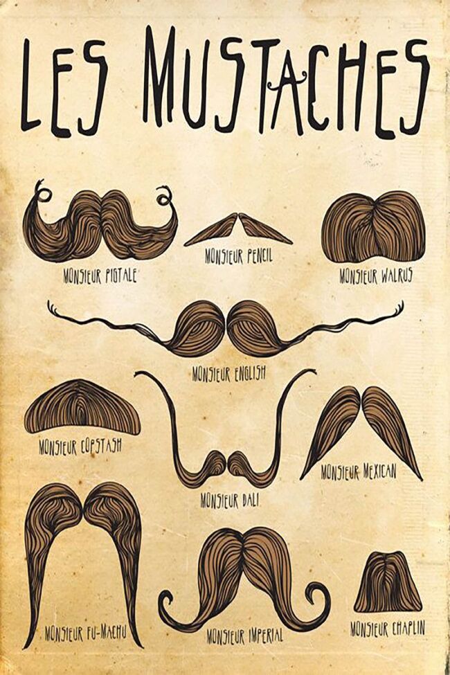 Les Moustaches