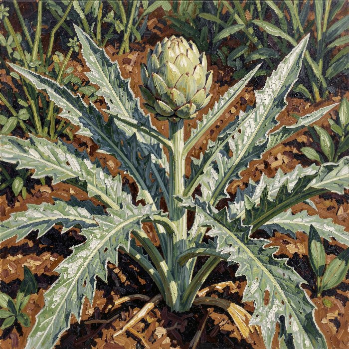 Artichoke Study