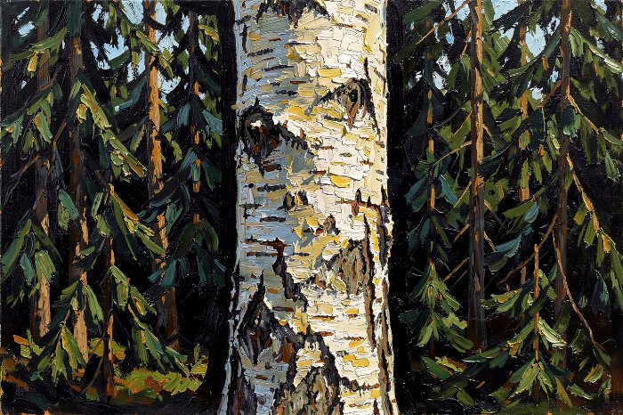 Forest Sentinel