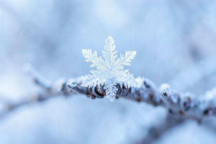 Winter Crystal