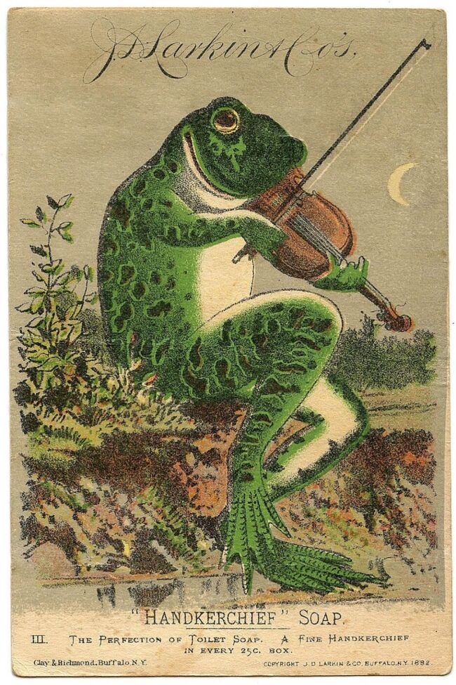 Frog With Violin