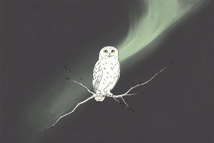 Pale Branch