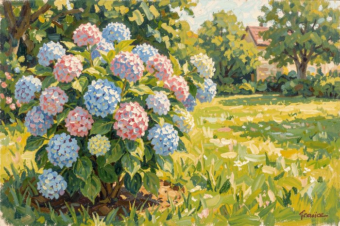 Hydrangea Light