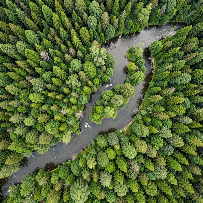 River Bend