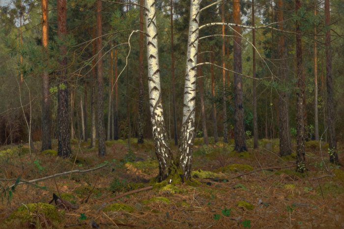 The Clearing