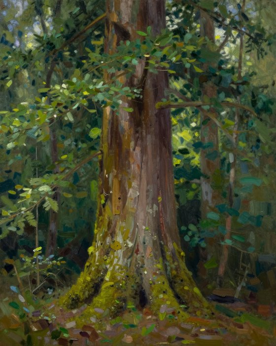 Old Growth