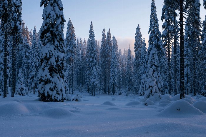Winter Dusk