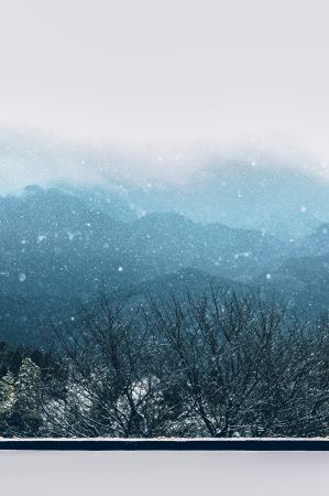 Serene Winter Wonderland