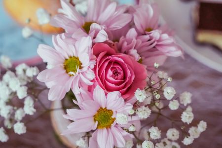 Rosy Motherly Love