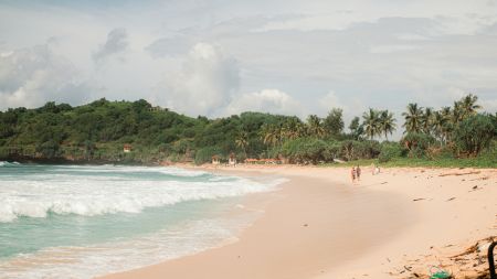 Sandy Serenity Shore