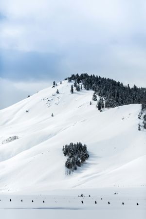 Mountain Mosaic Magic
