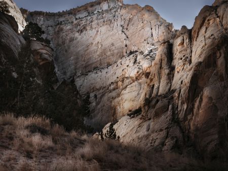 Sunlit Canyon Heights