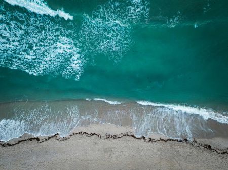 Coastal Chaos Caught