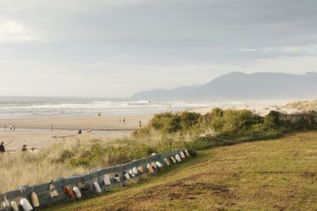 Serene Shoreline Vista