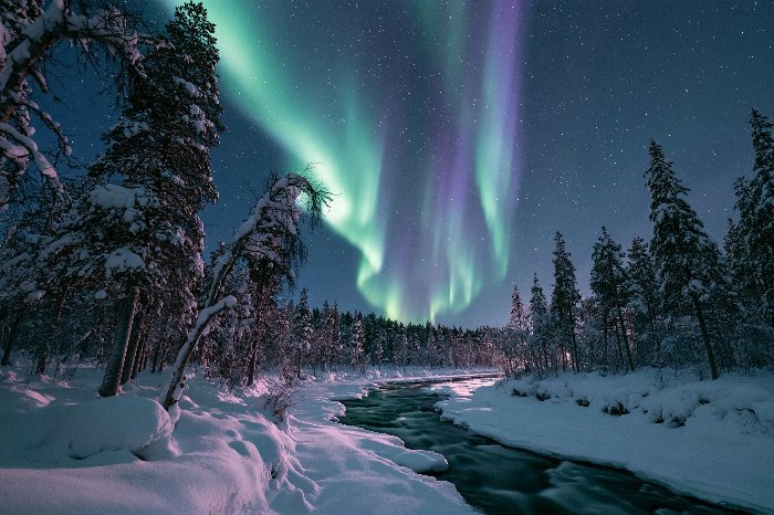Arctic Night