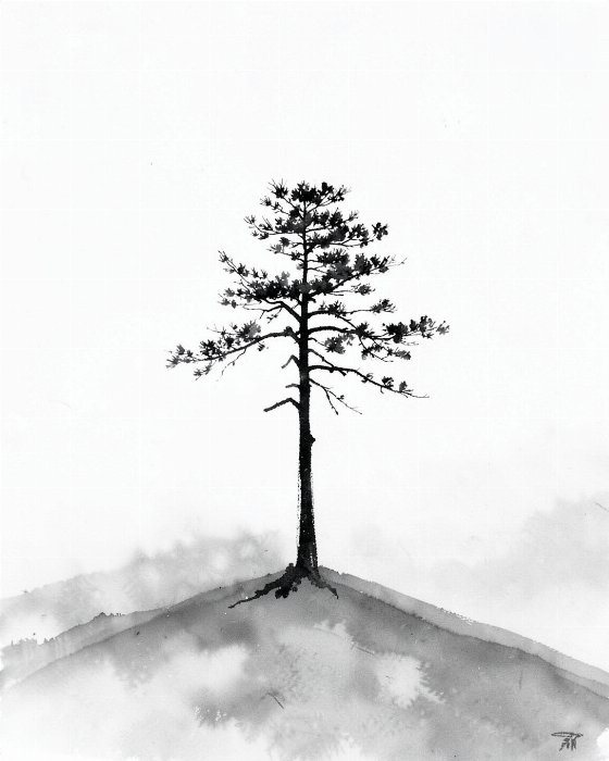 Bare Slope