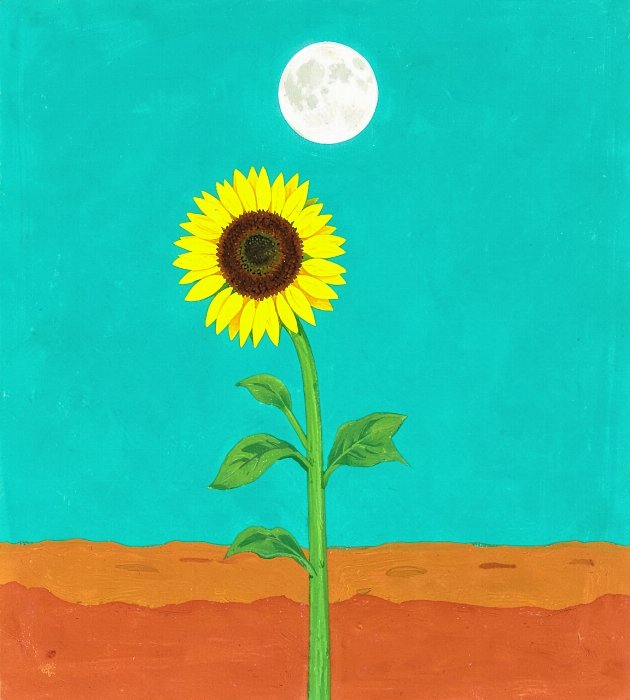Moonflower II