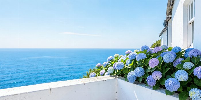 Sea Bloom