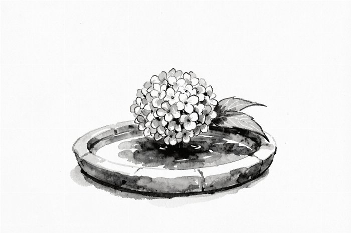 Basin Bloom